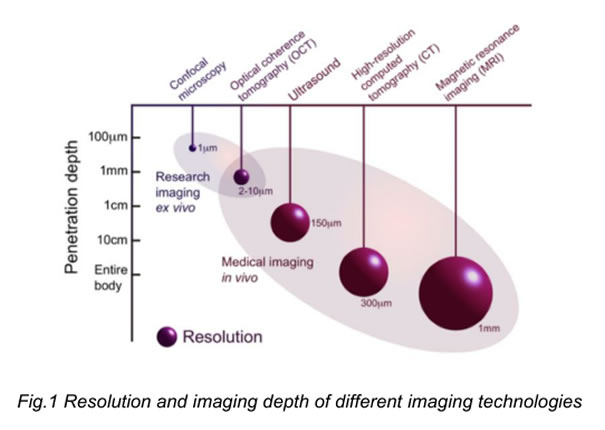 漫谈光学相干层析成像（OCT）原理，实现以及应用